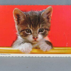 Vintage Postcard - Thinking of You Kitten Head - Continental Card